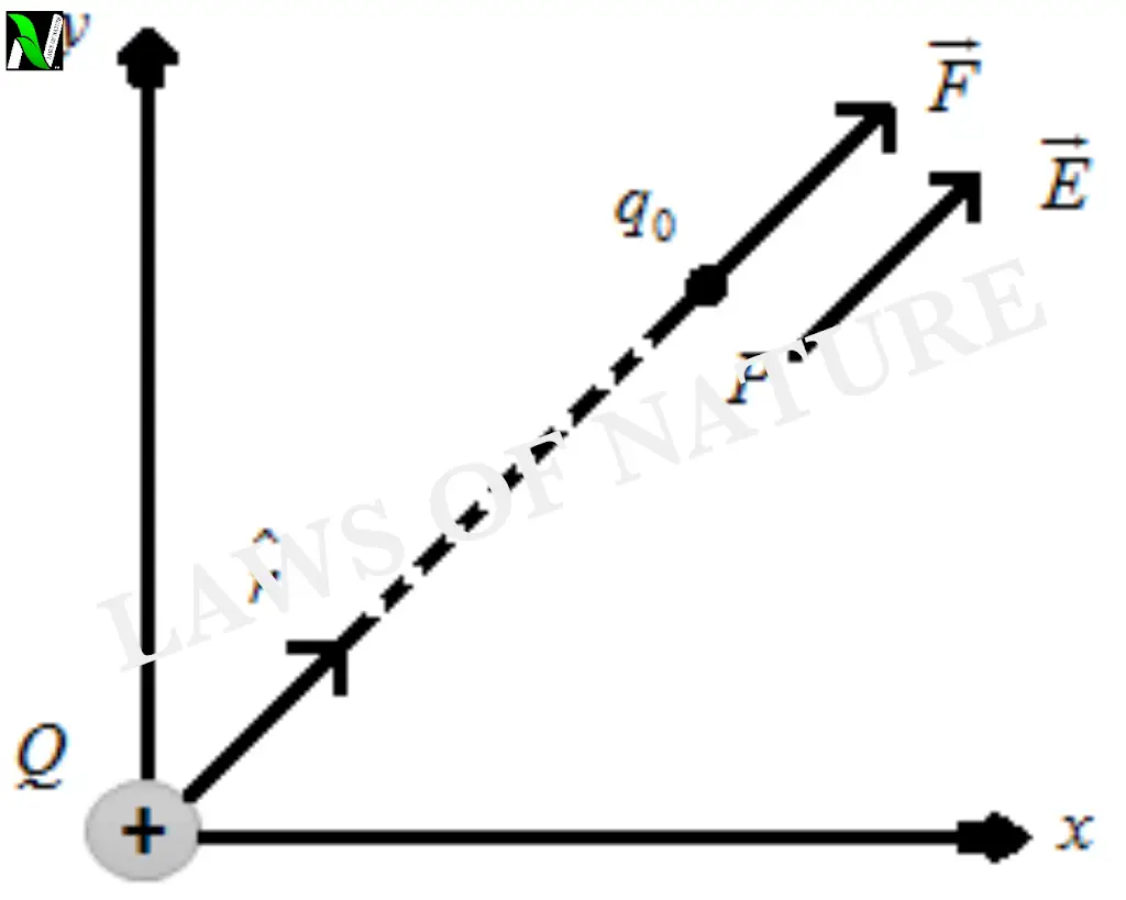 ELECTRIC FIELD DUE TO A POINT CHARGE