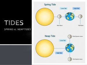 Tidal force | effects of tidal force | ocean tides | types of ocean tides.