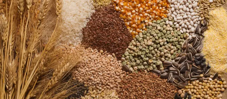 Various types of crops grown in India