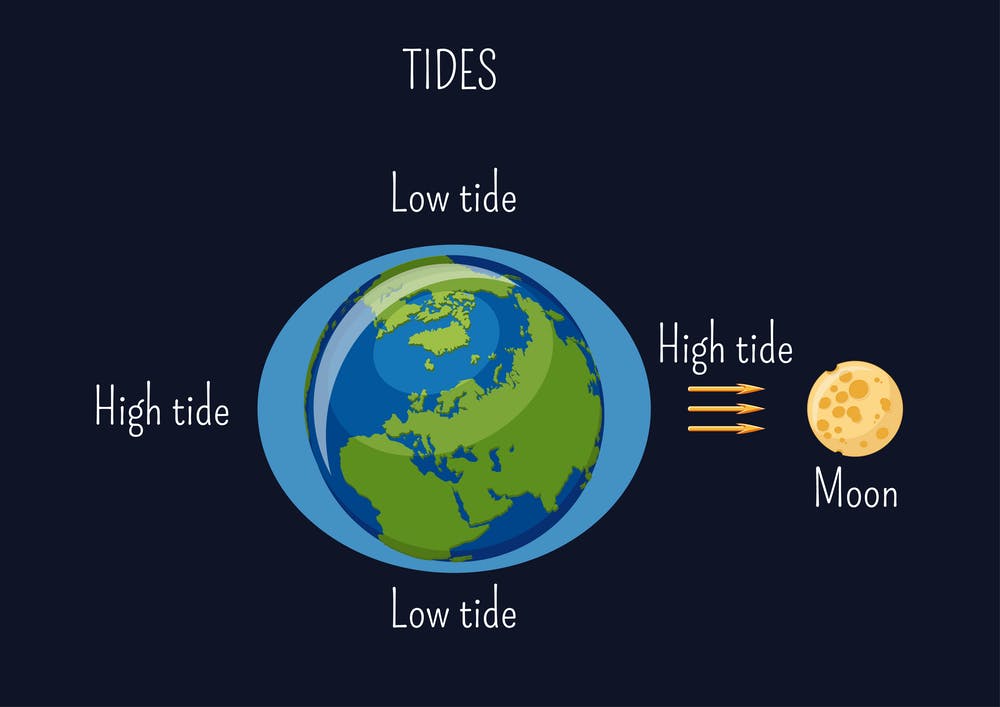 Tidal force | effects of tidal force | ocean tides | types of ocean tides.