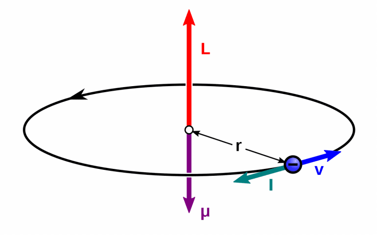 The magnetic moment in terms of angular momentum