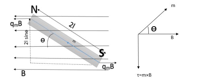 Torque on the magnetic dipole (bar magnet) in a uniform magnetic field, class 12