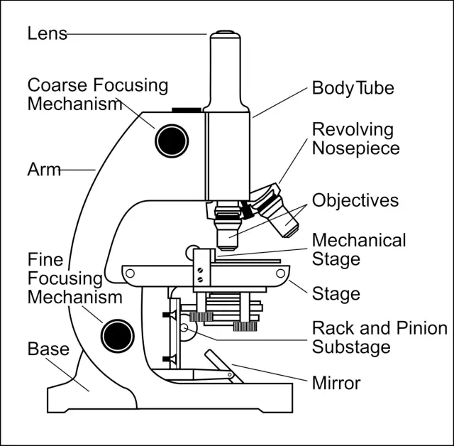 Simple microscope Class 12, Definition, Magnification, working, Parts And Uses