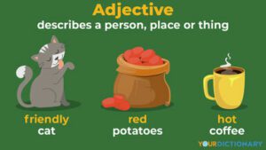 What is an Adjective - definition, meaning, types, and examples